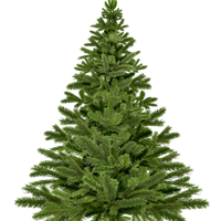 Christbaum